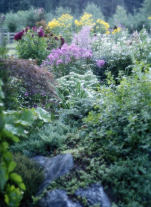 garden impression perfect garden impression perfect